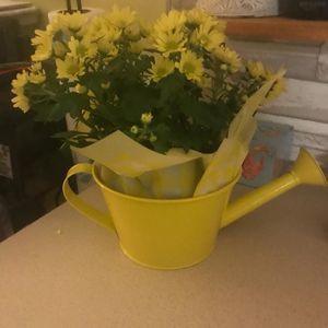 Meet your Posher, Jillian